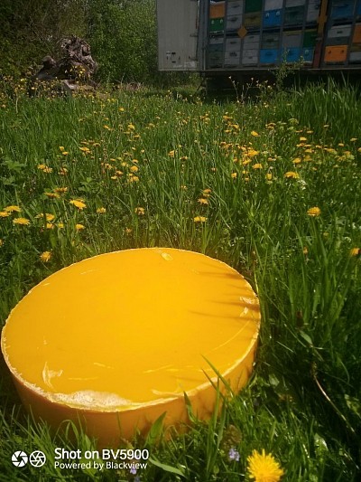 Воск пчелиный цена 1000 рублей за килограмм, темный 800 рублей