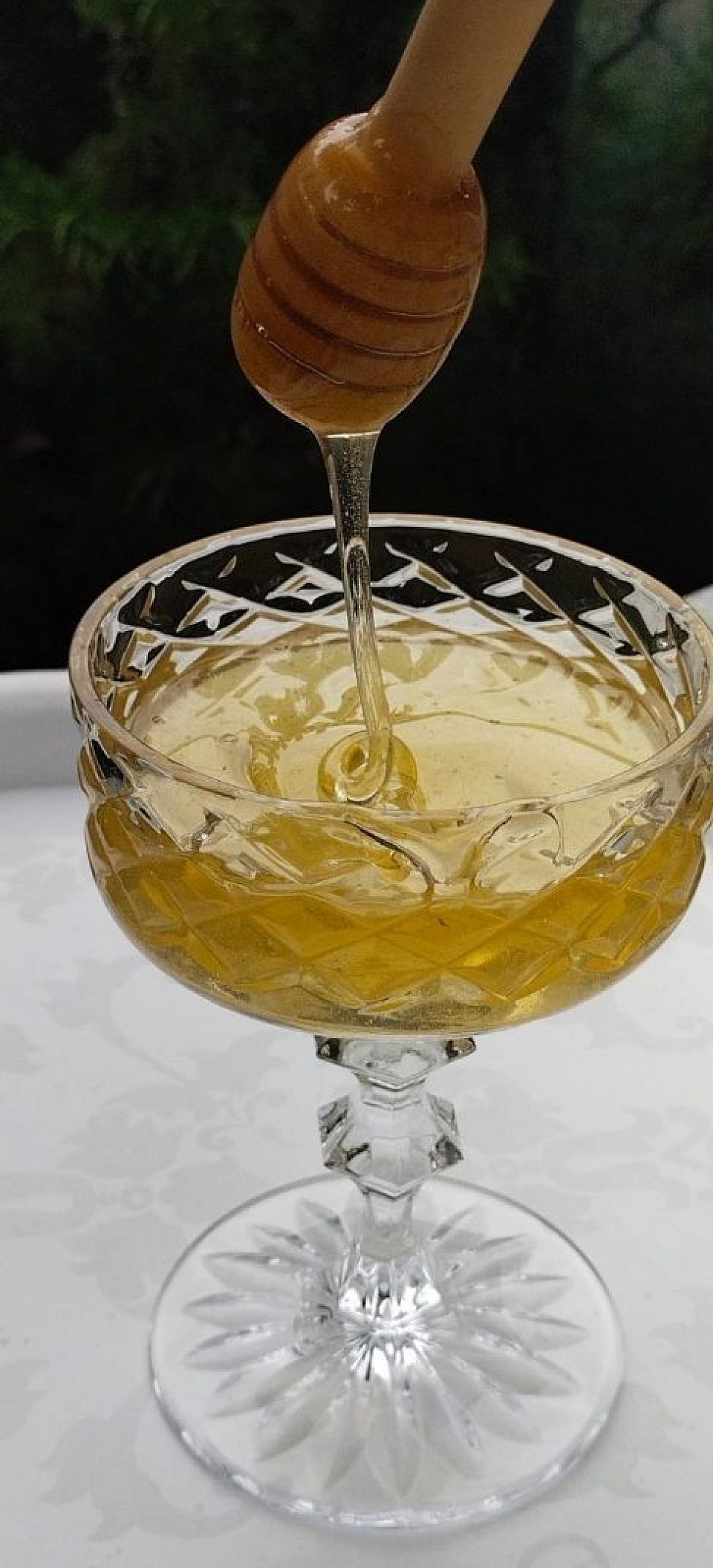 Мёд  акации  белой, глядичая ,оптовая цена 700р.кг опт от 30 килограмм , цена в розницу 1000 р.кг